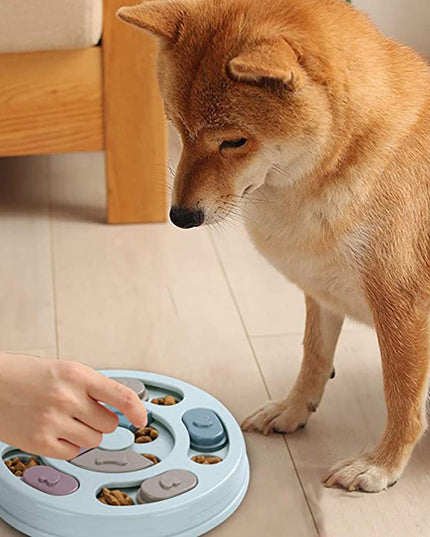 Manufacturers Stock Household Pets Dog Puzzle Feeding Bowls Dog Puzzles Feeding Bowls