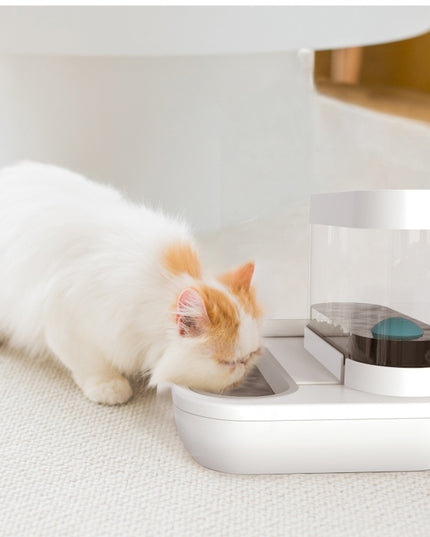 4 Style Pet Cat Bowl Dog for Cats Feeder Bowls Kitten Automatic Drinking Fountain 1.5L Capacity Puppy Feeding Waterer Products