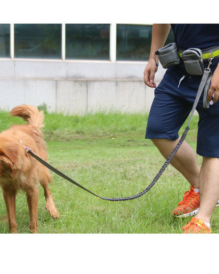 Adjustable Hands Free Dog Leash