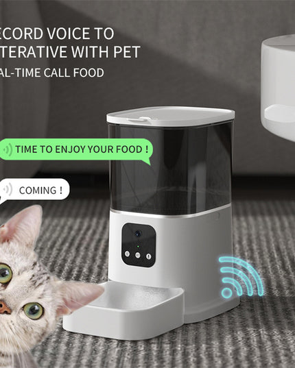 Pet Automatic Feeder Large Capacity