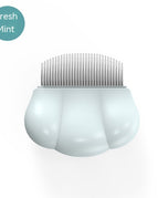 Fresh Mint