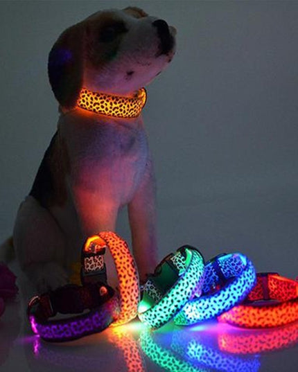 LED Dog Collar Safety Adjustable Nylon Leopard Pet Collar